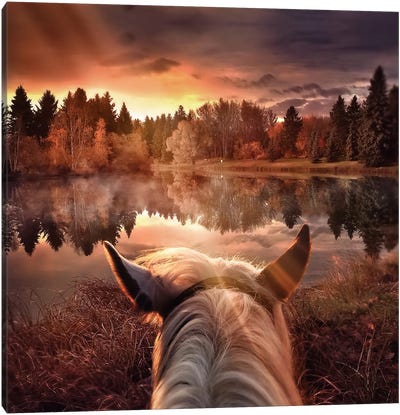 Long Lonesome Ride Canvas Art Print - Point of View