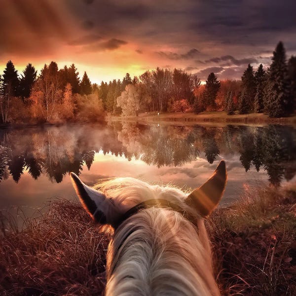 Point Of View: Long Lonesome Ride by Claudia McKinney