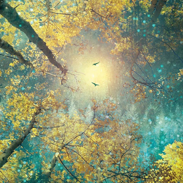 Aspen Trees: Gratitude by Claudia McKinney