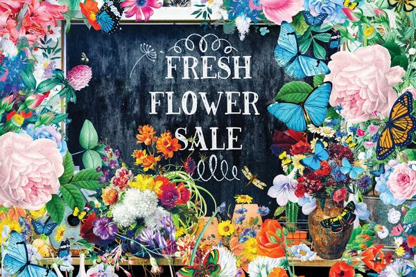 Butterflies and Flowers: Flower Sale by Claudia McKinney