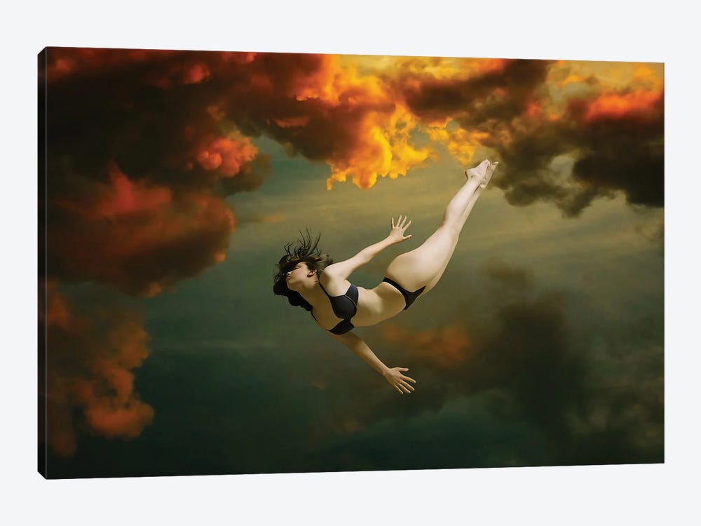 Free Falling by Claudia McKinney 1-piece Canvas Art