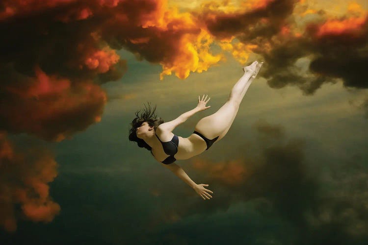 Free Falling by Claudia McKinney wall art