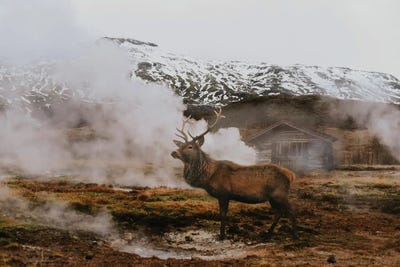 Goin Up to Alaska by Claudia McKinney framed canvas print