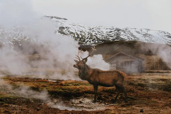 Alaska: Goin Up to Alaska by Claudia McKinney