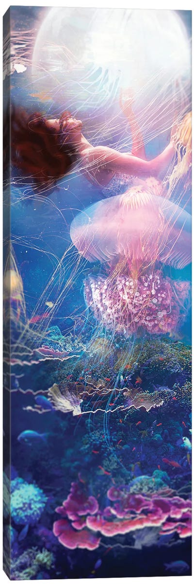 La Mer Danse Canvas Art Print - Jellyfish Art