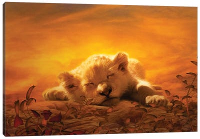 Lion Cub Sleeping Canvas Art Print - Sleeping & Napping Art