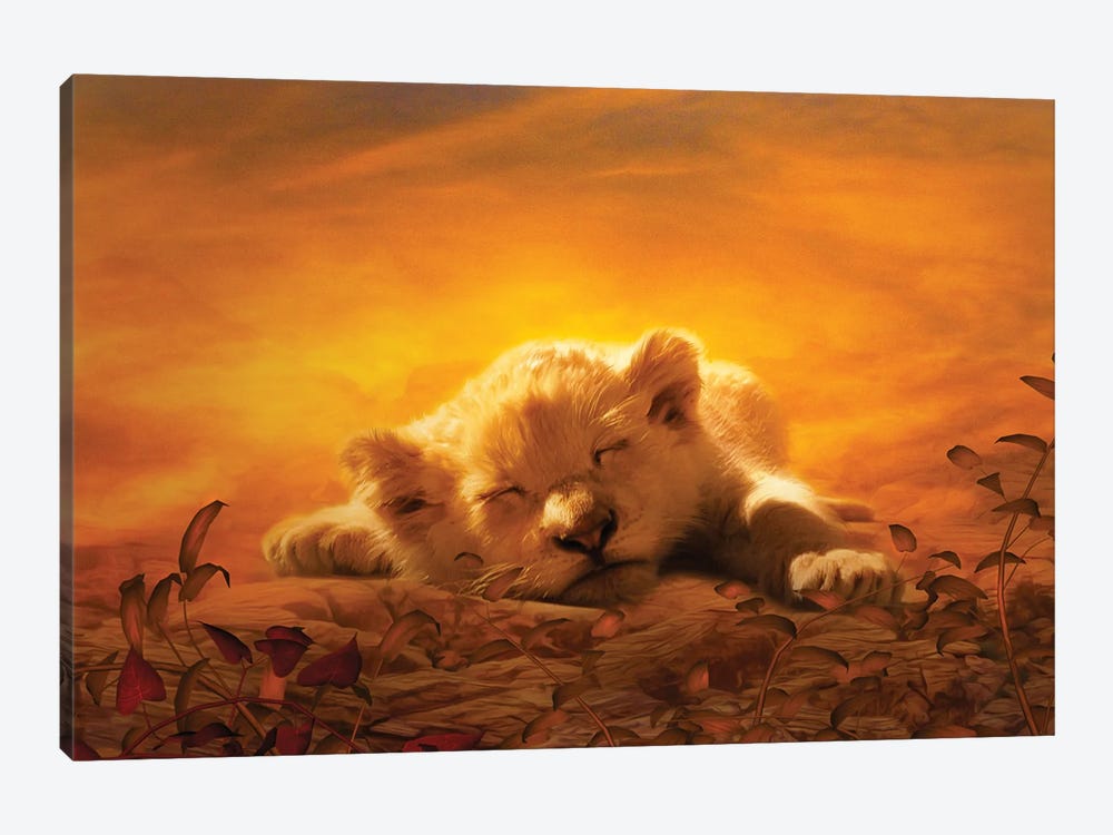 Lion Cub Sleeping by Claudia McKinney 1-piece Canvas Art Print