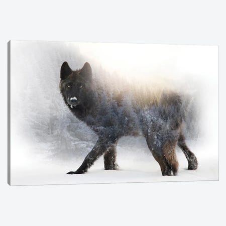 Lone Wolf Canvas Print #CMK44} by Claudia McKinney Canvas Artwork