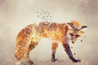 Autumn Fox by Claudia McKinney canvas print