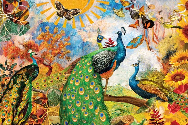 Peacocks: Peacock Garden by Claudia McKinney