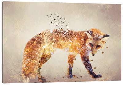 Autumn Fox Canvas Art Print - Claudia McKinney