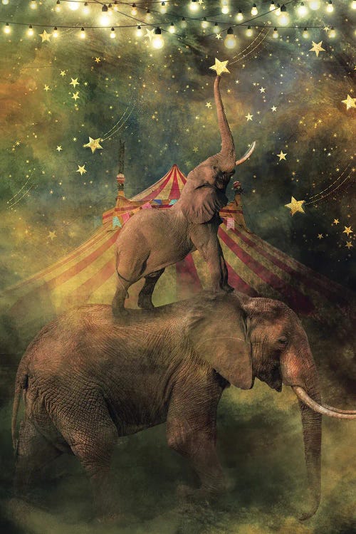 Star Wishes by Claudia McKinney wall art