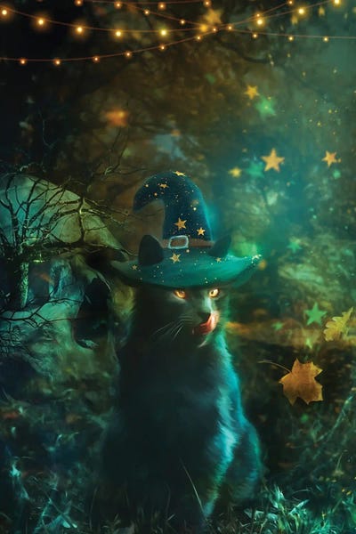 Black Cats: Sweet but Spooky by Claudia McKinney