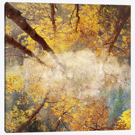 Autumnal Trees Canvas Print #CMK6} by Claudia McKinney Canvas Artwork