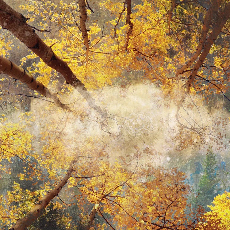 Autumnal Trees by Claudia McKinney wall art