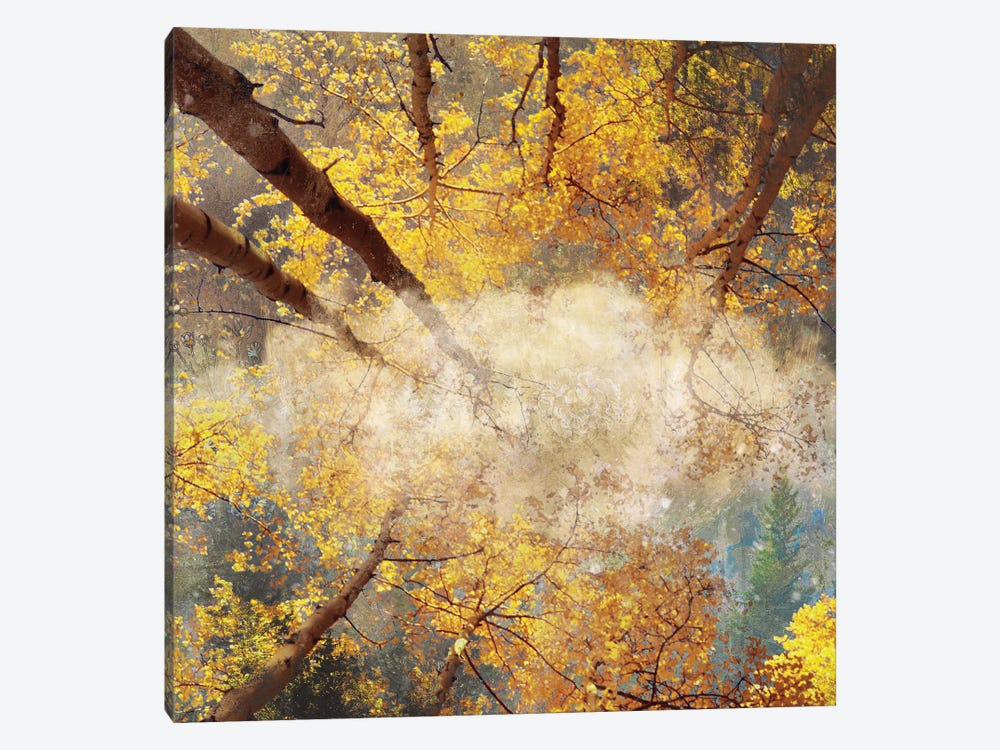 Autumnal Trees by Claudia McKinney 1-piece Canvas Print