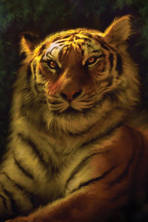 Tiger Portrait