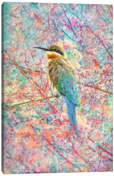Happy Bird Canvas Art Print - Claudia McKinney