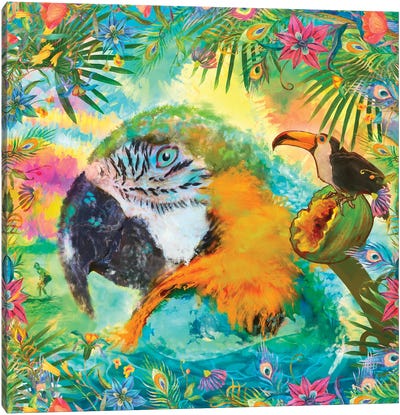 Good Vibrations Canvas Art Print - Macaw Art