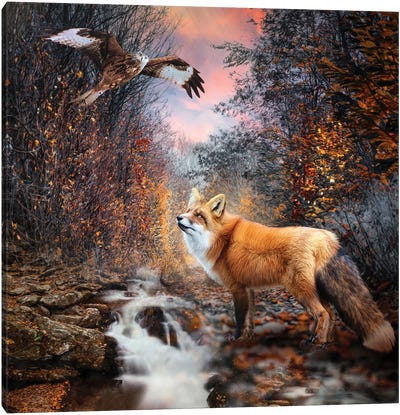 Autumn Walk Canvas Art Print - Fox Art