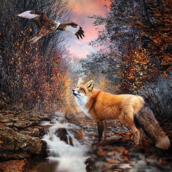 Foxes: Autumn Walk by Claudia McKinney