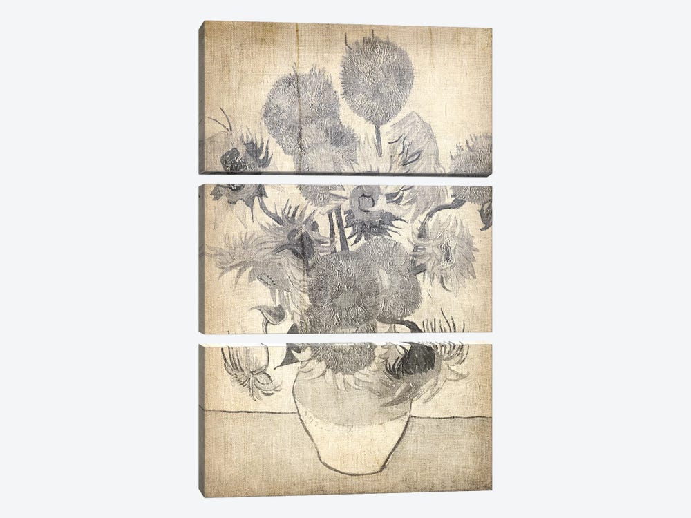 Sunflowers X by 5by5collective 3-piece Canvas Art Print