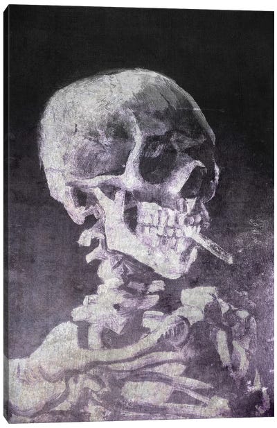Skull of a Skeleton VI Canvas Art Print - Classics Through A Modern Lens