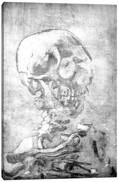Skull of a Skeleton VII Canvas Art Print - Halloween Art