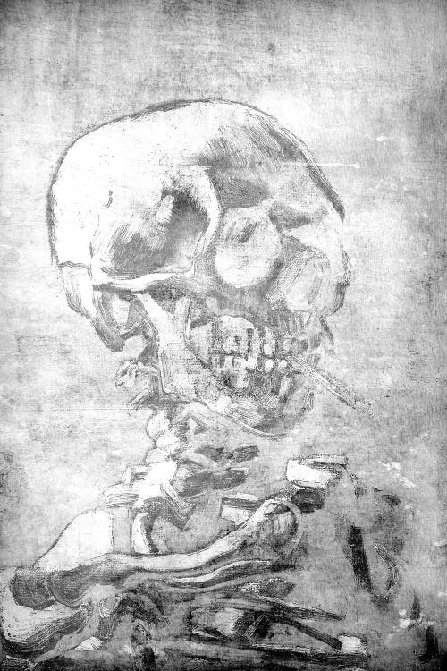 Skull of a Skeleton VII