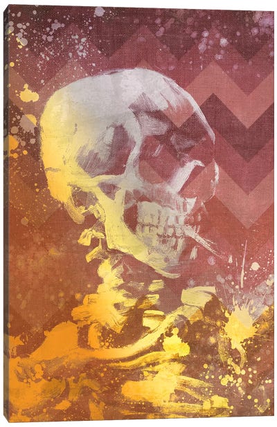 Skull of a Skeleton IX Canvas Art Print - Classics Through A Modern Lens