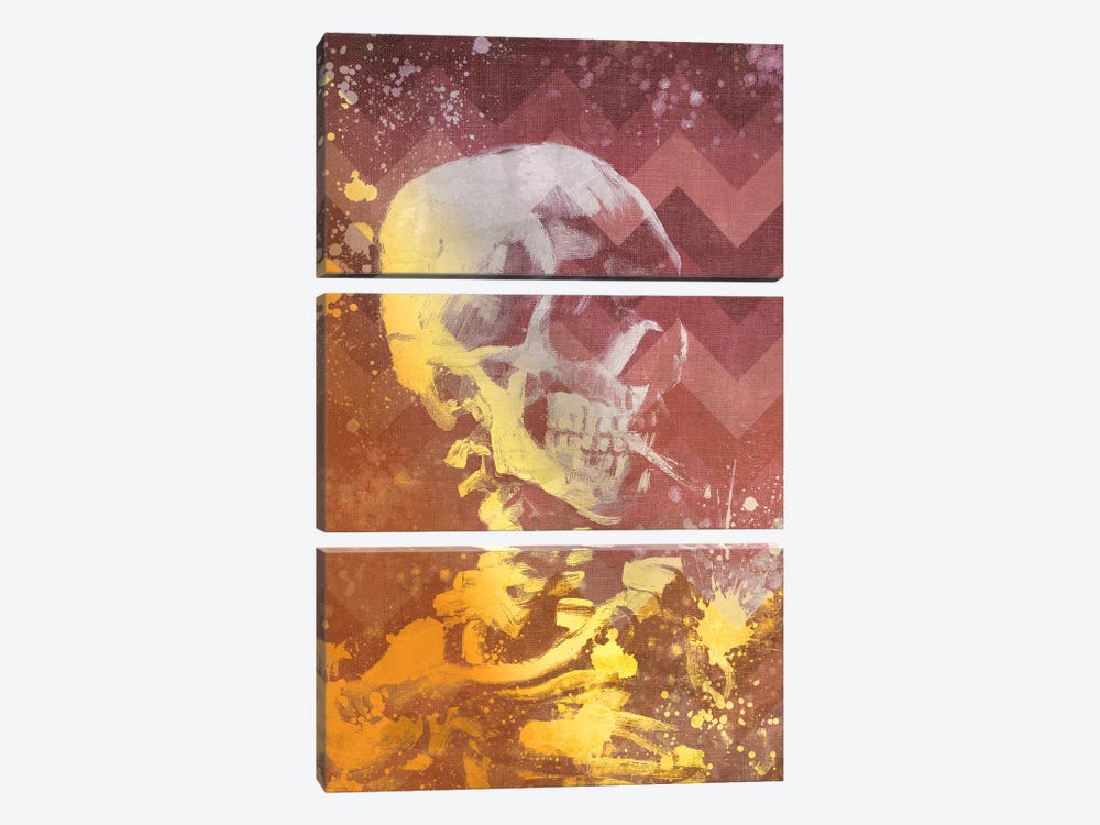 Skull of a Skeleton IX by 5by5collective 3-piece Canvas Artwork