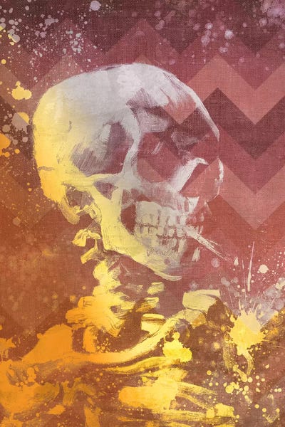 Skulls: Skull of a Skeleton IX by 5by5collective