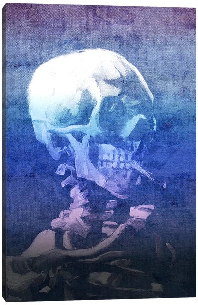 Skull of a Skeleton XI Canvas Art Print - Classics Through A Modern Lens