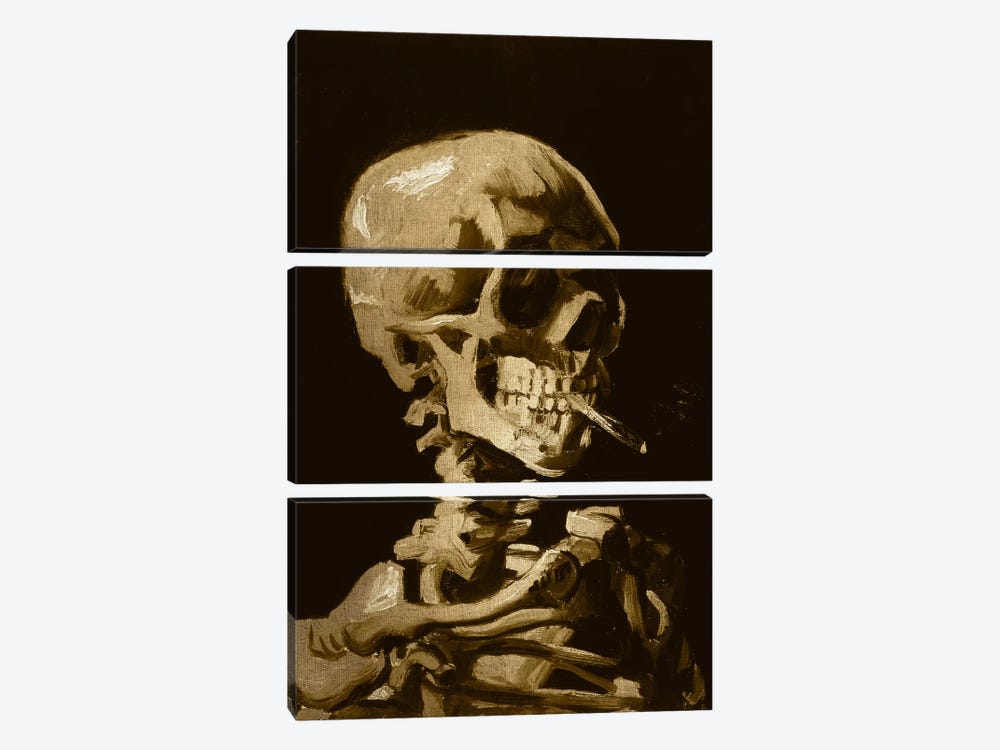 Skull of a Skeleton I by 5by5collective 3-piece Canvas Art
