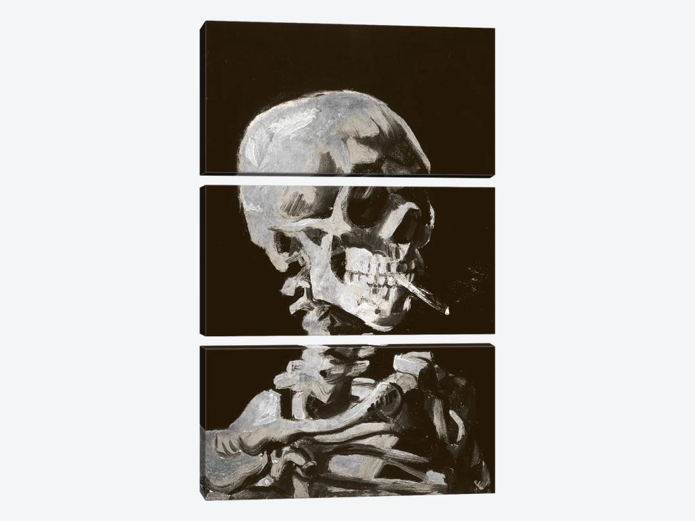 Skull of a Skeleton IV by 5by5collective 3-piece Canvas Artwork