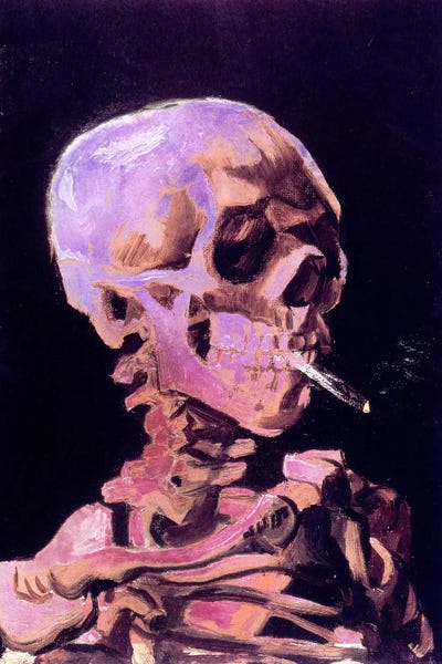 Black & Pink: Skull of a Skeleton V by 5by5collective