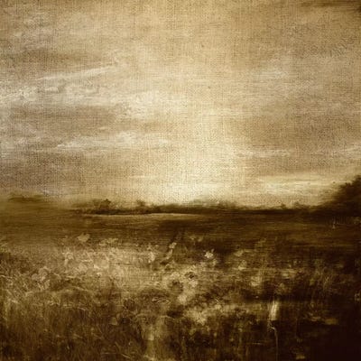 Meadow I by 5by5collective canvas print