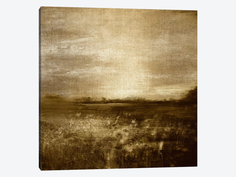 Meadow I by 5by5collective 1-piece Canvas Artwork