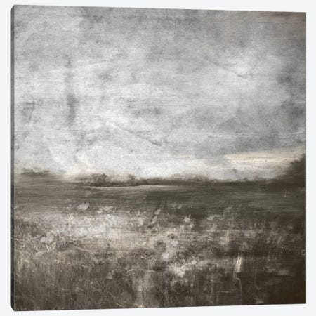 Meadow IV Canvas Print #CML71} by 5by5collective Canvas Print
