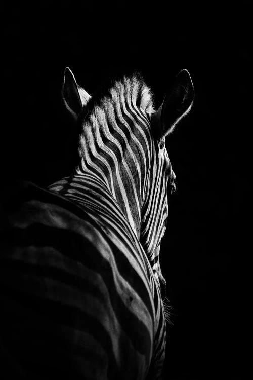 Stepping Down #6 by Christian Meermann wall art