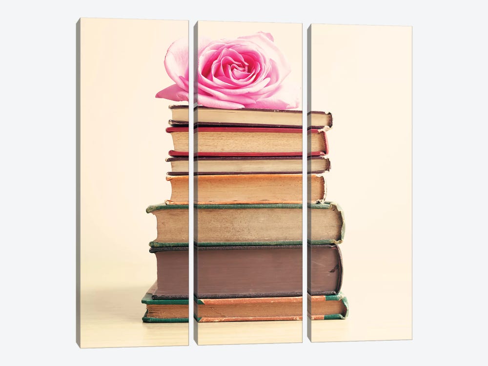 Rose And Books by Caroline Mint 3-piece Art Print