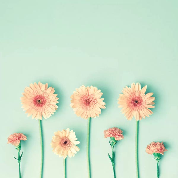 Caroline Mint: Seven Flowers by Caroline Mint