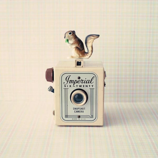 Photography As A Hobby: Squirrel And Imperial by Caroline Mint