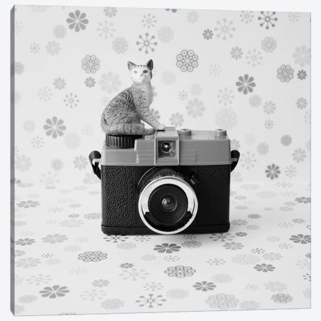 The Cat And The Little Camera Canvas Print #CMN172} by Caroline Mint Canvas Art Print