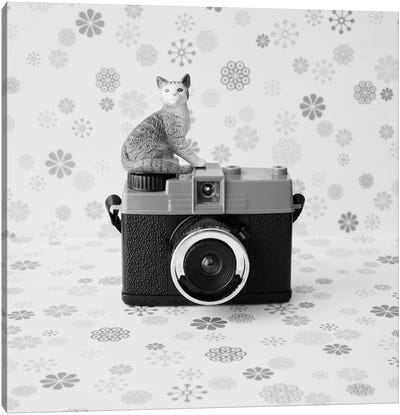 The Cat And The Little Camera Canvas Art Print - Photography as a Hobby