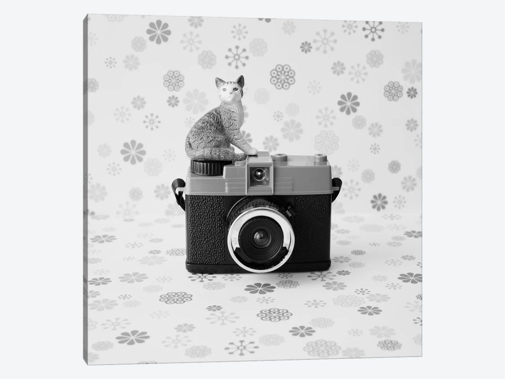 The Cat And The Little Camera by Caroline Mint 1-piece Art Print