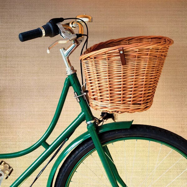 Caroline Mint: The Green Bicycle by Caroline Mint