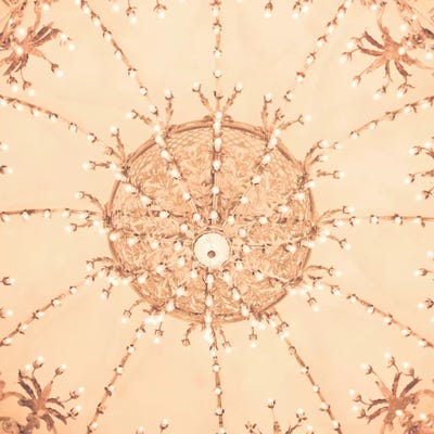 Theater Ceiling by Caroline Mint framed canvas print