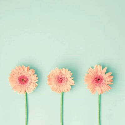 Three Is The Magic Number by Caroline Mint framed canvas print