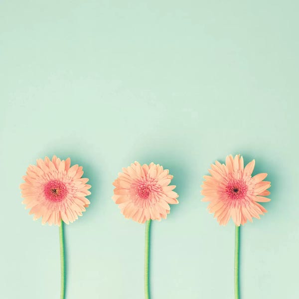 Three Is The Magic Number